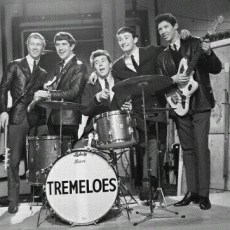 Tremeloes