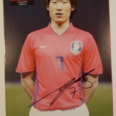 Park Ji Sung, Sydkorea 2